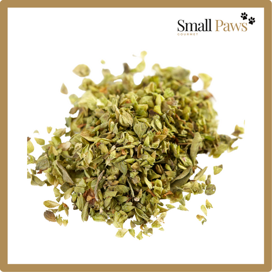 Oregano